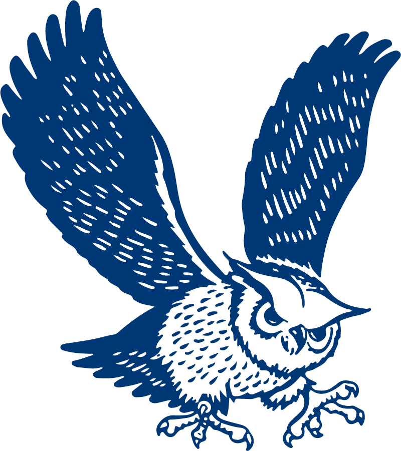 Rice Owls 1968-1979 Primary Logo diy DTF decal sticker